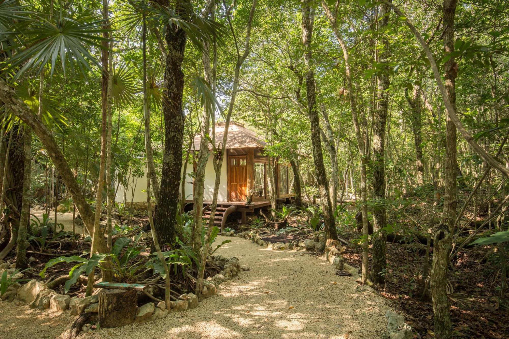Pepem Holistic Experience - Peaceful Retreat Near Tulum (Adults Only) Villa Ngoại thất bức ảnh