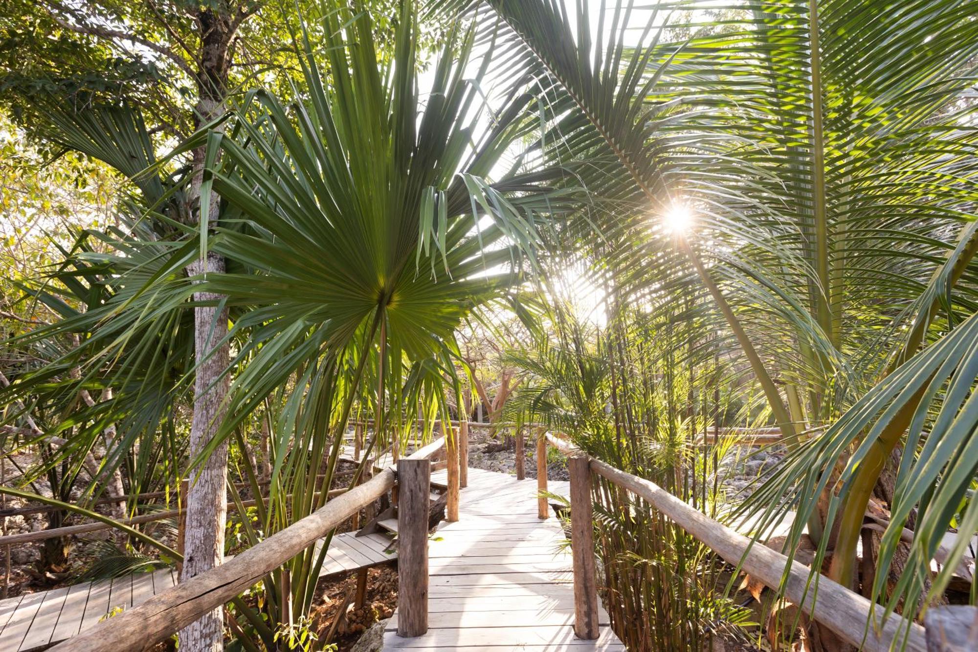 Pepem Holistic Experience - Peaceful Retreat Near Tulum (Adults Only) Villa Ngoại thất bức ảnh